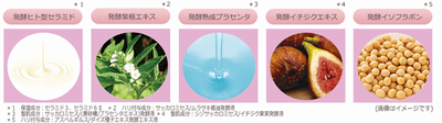 5種類の天然発酵エキスを配合