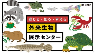 神戸市環境局自然環境課外来生物