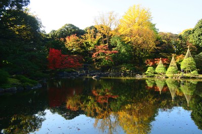 紅葉イメージ