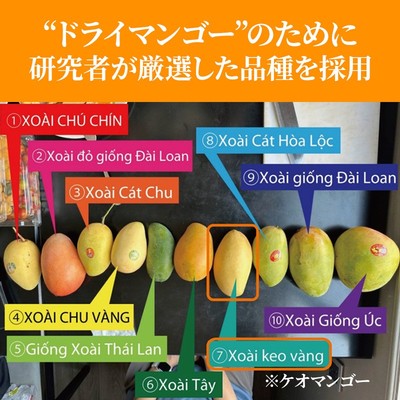ベトナム産「ケオマンゴー」を選定