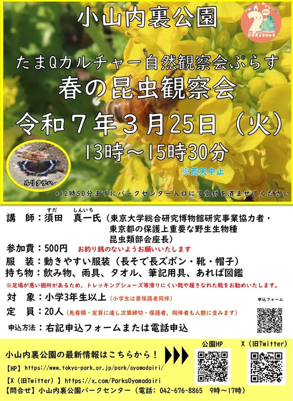 チラシ