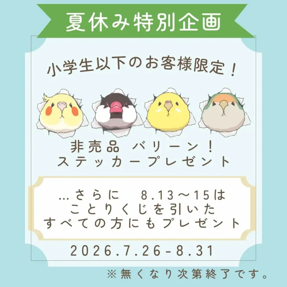 夏休み特別企画♪