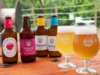 高知クラフトビール「TOSACO」が 「SHARE THE LOCAL 高知」で販売決定！
