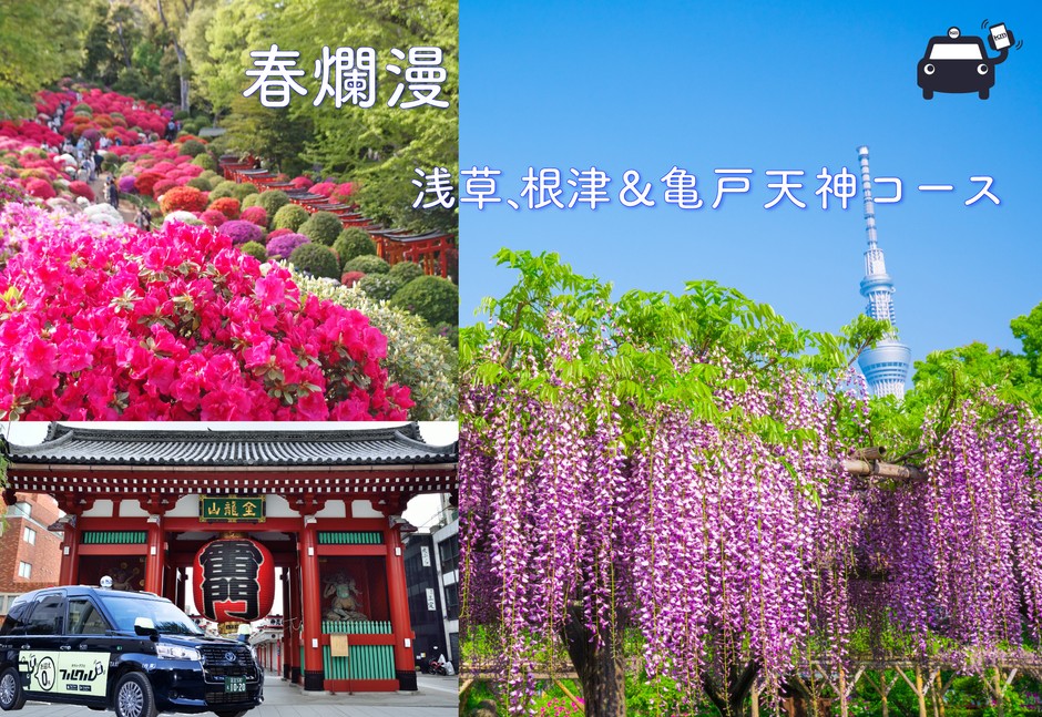 「春爛漫 漫浅草、根津&亀戸天神コース」