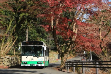 正暦寺行き臨時バスを運行