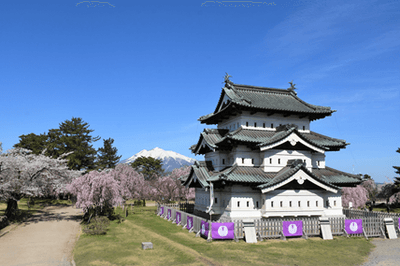 桜と弘前城天守と岩木山