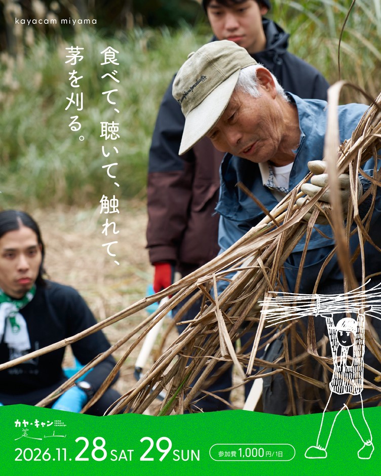 地域の人々と一緒に、かやぶき屋根の材料となる茅を刈り取ります