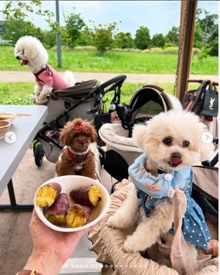 「GoodBBQ」イメージ