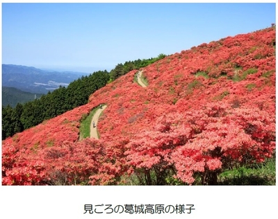 photo#1
