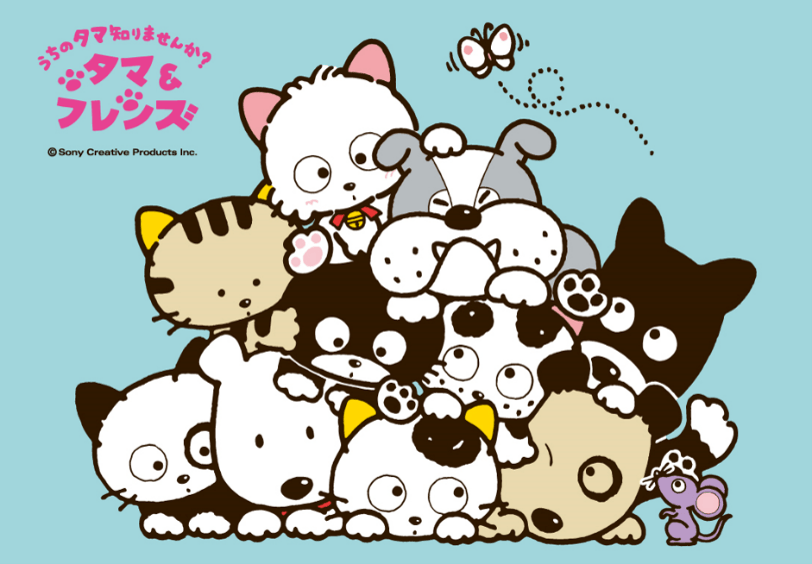 タマ＆フレンズ～うちのタマ知りませんか？～