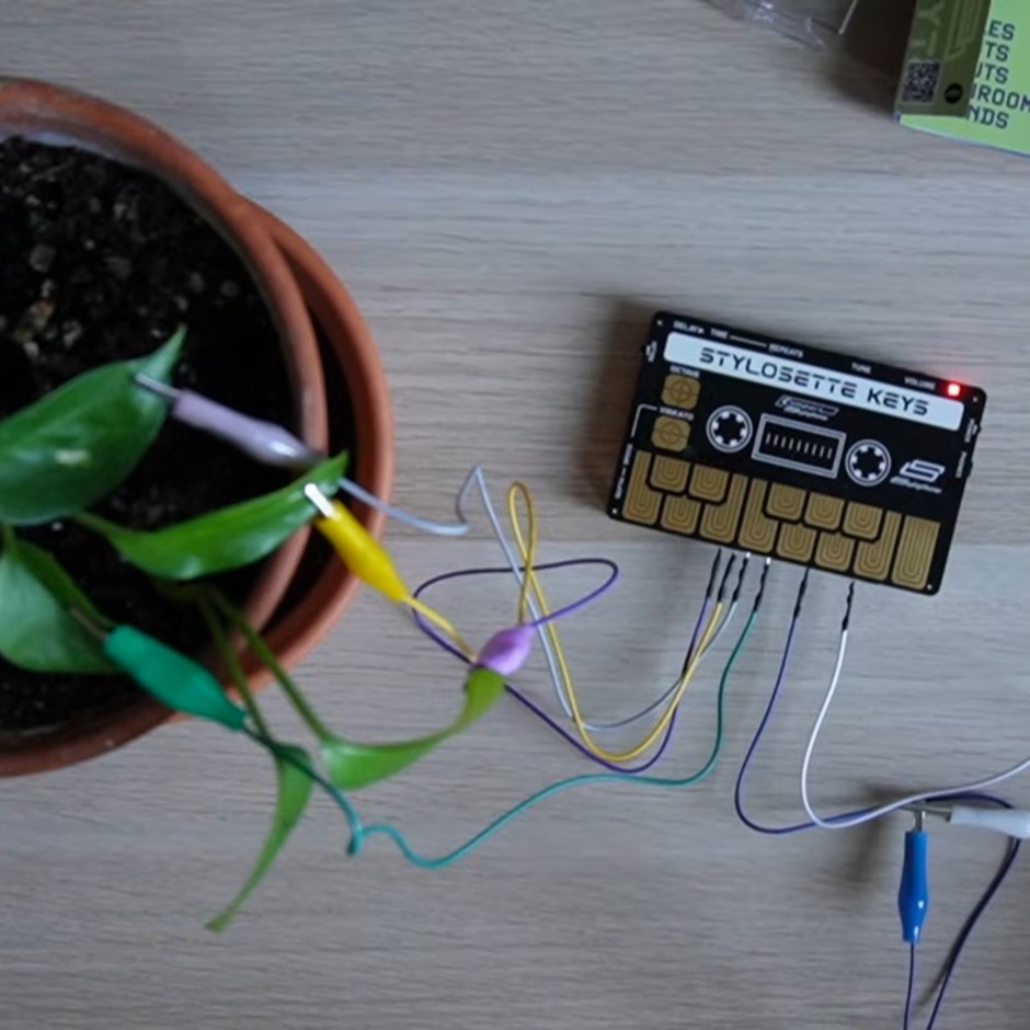 植物で演奏