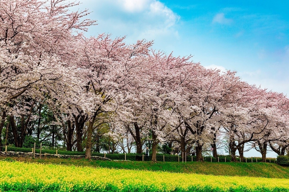尾根緑道