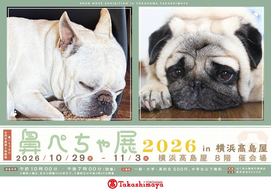 【鼻ぺちゃ展】【鼻ぺちゃ展】キービジュアル(横)