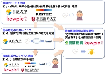 鶏卵の摂取による「認知機能改善効果」を明らかにしていきます。令和3年度イノベーション創出強化研究推進事業に採択。