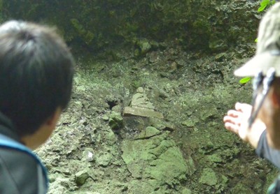 高野山コース弘法大師