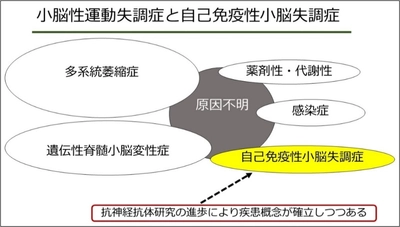 わが国で初めてKLHL11抗体測定系の確立に成功～原因不明の小脳性運動失調症の診断と治療への貢献に期待～