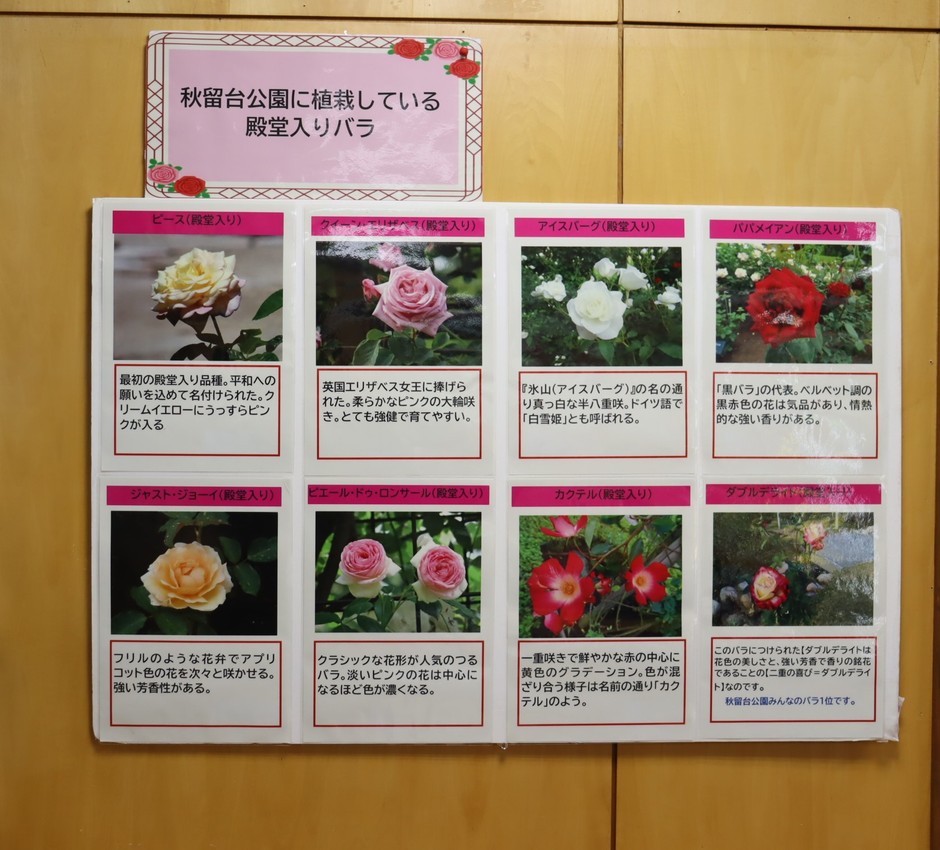 バラに関する展示（昨年度の様子）