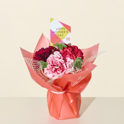 シュシュフルール「Precious-RED-」